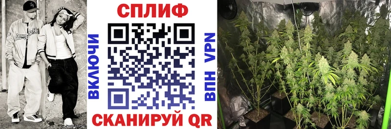 Купить закладку ГАШ  Вейп ТГК  Героин  МЕФ  Псилоцибиновые грибы  Конопля  Чехов