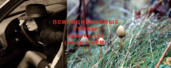 круглые Заволжск