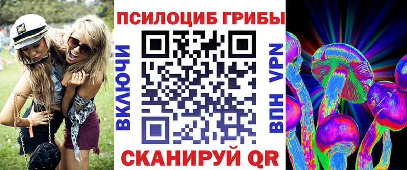 Купить где  Чехов  Псилоцибиновые грибы Cubensis 